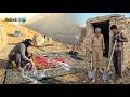 Nomadic construction mission; Jahangir and Ali digging a maternity ward for the herd
