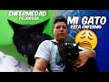 EPIDEMIA EN MEXICO CASI NO SE SALVA MI GATO