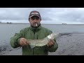 PASION POR LA PESCA-PEJERREYES DE COSTA EN LAGUNA LA TIGRA!!