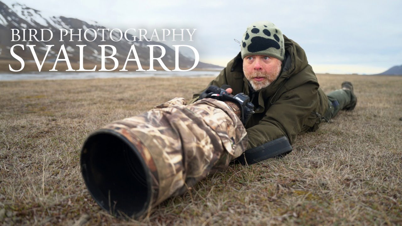 Bird photography makes you happy