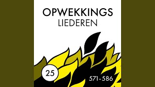 Ik ben zo dankbaar (580)