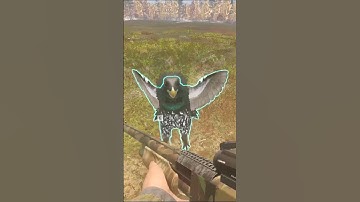 AGGRESSIVE CAPERCAILLIE in CALL OF THE WILD!!! 🦃💢🩳