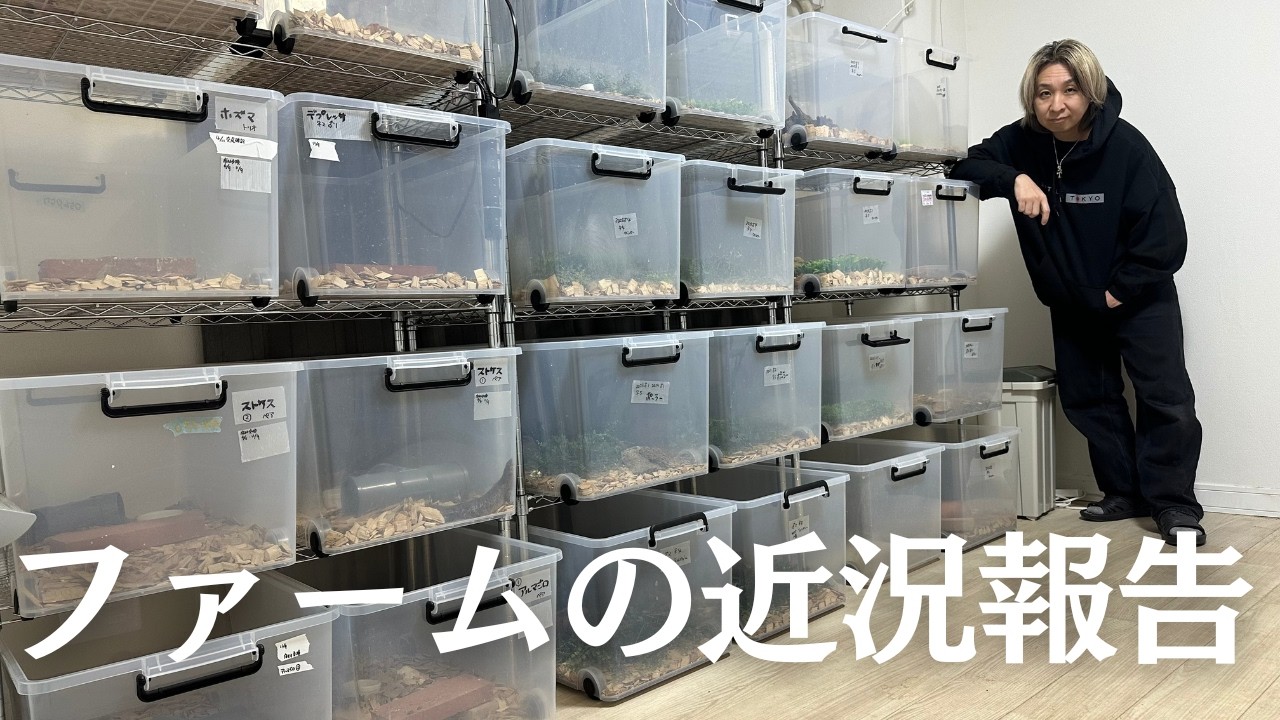 【近況報告】ファームの状況と繁殖の 