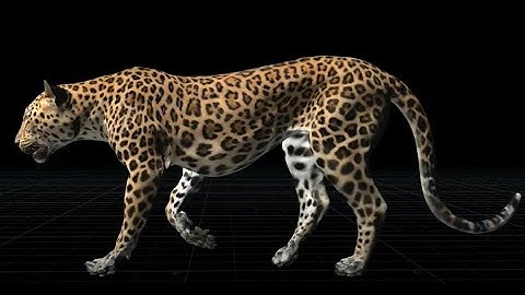 Leopard skin simple sim with Houdini vellum