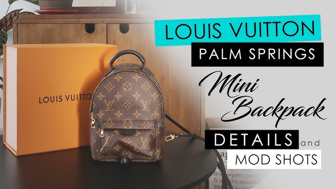 2019 What's In My Bag♡LV Palm Springs Backpack Mini + Review