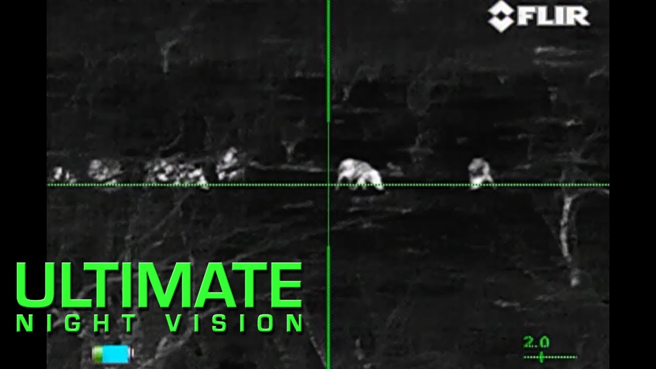 Daytime Thermal Hog Hunt with a FLIR RS64 2X YouTube