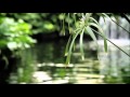 15 Minute Timer ~ Zen Meditation Music Sounds of Nature, Chimes, Wooden Flute ~ Yoga Savasana Music