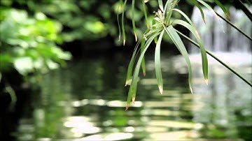 15 Minute Timer ~ Zen Meditation Music Sounds of Nature, Chimes, Wooden Flute ~ Yoga Savasana Music