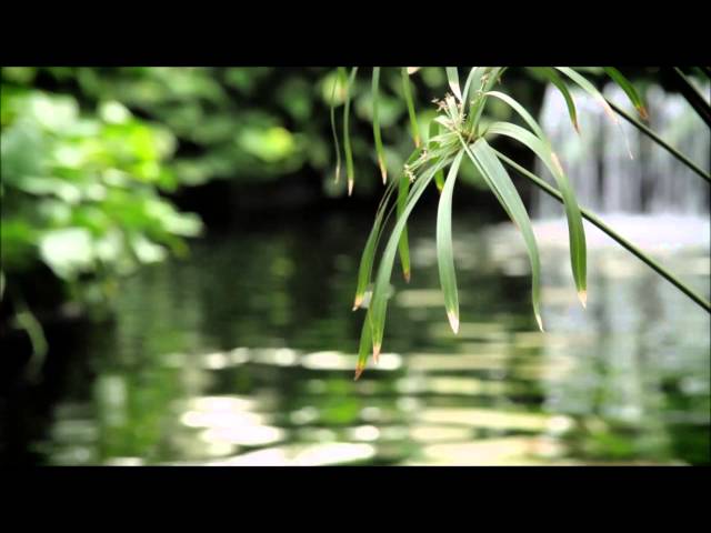 15 Minute Timer ~ Zen Meditation Music Sounds of Nature, Chimes, Wooden Flute ~ Yoga Savasana Music class=