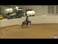 2023 quarter horse congress open futurity prelims julia roshelli on tr no surrender