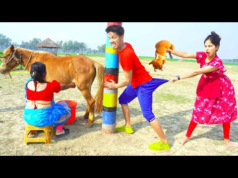 Very Special Trending Funny Comedy Video 2025 😂Amazing Funny Video 2025 Episode 201 Busy Fun Ltd