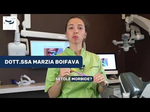 Scopa - Fibra Dura/morbida - 410 Mm