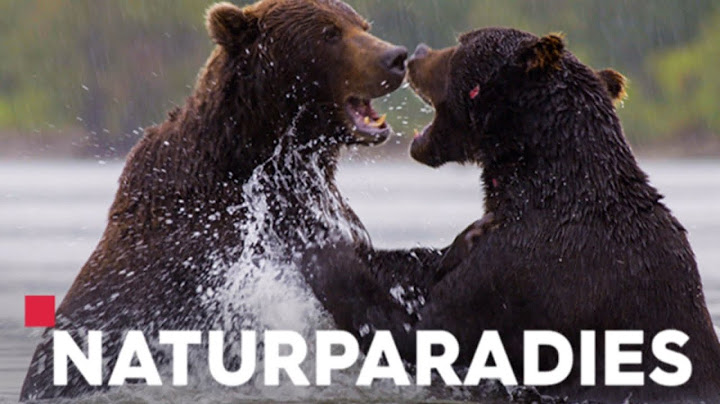 ZDF🔸Das Naturparadies Türkei | Doku | 2021