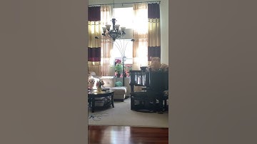 The Blanket Disappear #shorts