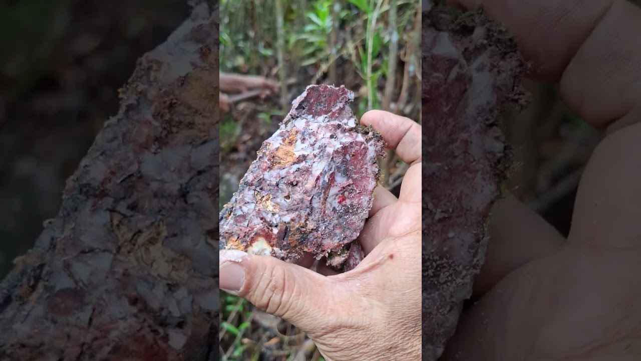 MF 1100 UNTUK KESEKIAN KALINYA MEMBAWA MEBERHASILAN AKURASI TINGGI 💯