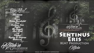 Sentinus Eris - Hüzün (Afitab'ın Gölgesinde Enstrümental Beat Albüm) Resimi
