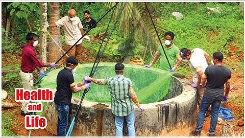 Fruit bat samples from Kerala test negative for Nipah virus