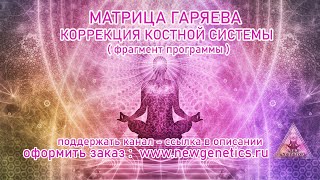 Матрица Гаряева.коррекция Костной Системы(Фрагмент).The Garyaev Matrix.correction Of The Bone System