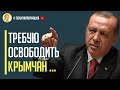 Только что! Началось! Эрдоган требует освобождения крымских татар
