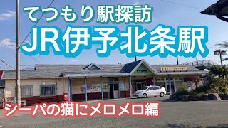 【てつもり駅探訪】旧北条市の中心駅「JR伊予北条駅編」北条地域の昔話や遊郭のあった島“安居島”の紹介や特急電車8600系通過シーンや8000系加速音も！