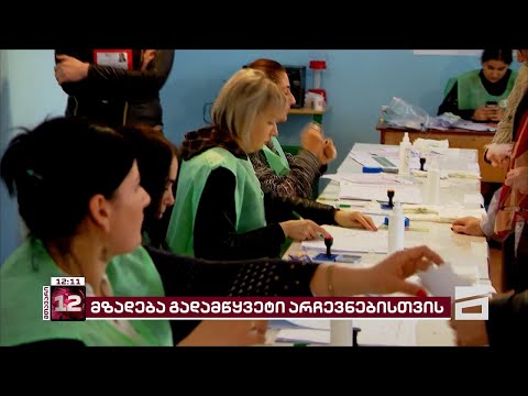\"შენი ხმა ევროპას\" - 30-მდე არასამთავრობო ორგანიზაციის კამპანია, არჩევნებზე ხმების დასაცავად