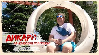 Отдых в Ейске. Море, пляжи и рекомендуемые места к посещению