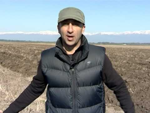 \"ჩვენი ფერმა\" ხორბლის თესვა