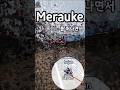 #Shorts #Justin Bieber #Sorry #Merauke #joko #여행 #travel #흔적들 #夢 #足跡 #jejak #حلم