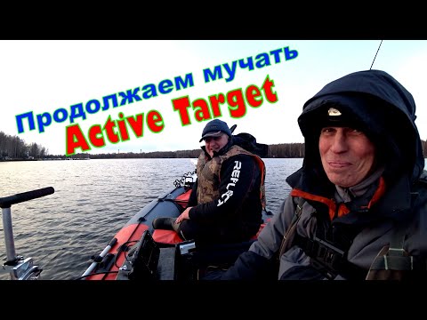 Зимний судак на спиннинг 2023 года. Учимся ловить с Lowrance Active Target