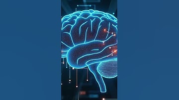 Unlocking the Brain
