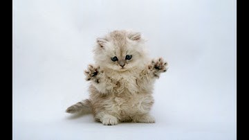 Changing Your Profile Picture