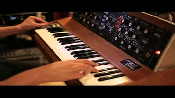Moog Minimoog  "In the Light " Led Zeppelin
