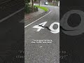 A snake stopping traffic in Australia