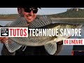 Tuto technique  pche du sandre en linaire