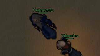 Nagowenen (Elysia, Tibia 7.8)