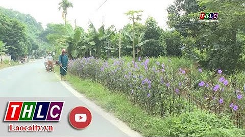 Bảo Thắng phấn đấu có 63% số xã đạt chuẩn nông thôn mới nâng cao năm 2024 | THLC