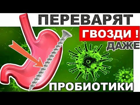 Натуральные ПРОБИОТИКИ - Переварят Даже Гвозди! Полезные бактерии - БИФИДОБАКТЕРИИ.