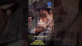 Kuda Betina  Mansyur S cakrakharismachannelvidio5082 