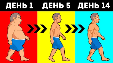 Сколько Калорий Нужно Потреблять, Чтобы Сбросить вес?