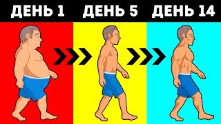 Сколько Калорий Нужно Потреблять, Чтобы Сбросить вес?