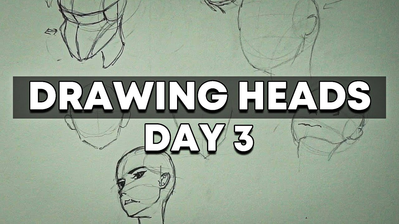 How to draw heads! (100 Day Drawing Challenge: Day 3) - YouTube