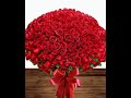 Buquê de rosas vermelhas 500 rosas, bouquet de flowes Red lidas rosas vermelhas naturais ❣️🌹🌹🌹🌹🌹🌹🌹🌹