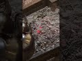 محمد المقحم الزواج 