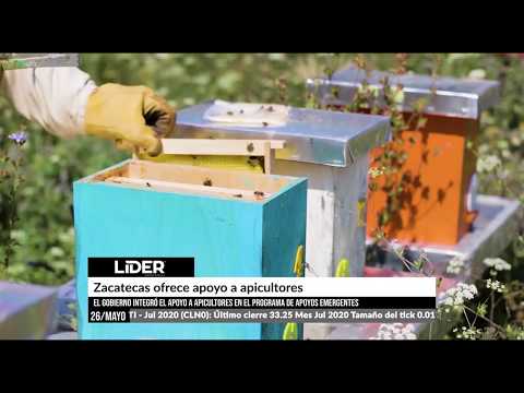 Líder Informa 26 de mayo: Zacatecas ofrece apoyo a apicultores