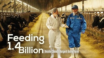 Feeding 1.4 Billion: Inside China