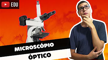 Como funciona o microscópio simples?