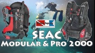 Seac Pro 2000 and Modular BCDs ***  A Hybrid and a Back-plate and Wing