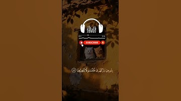 سورة البقرة صفحة 4🍃 #العراق #مصر #السعودية