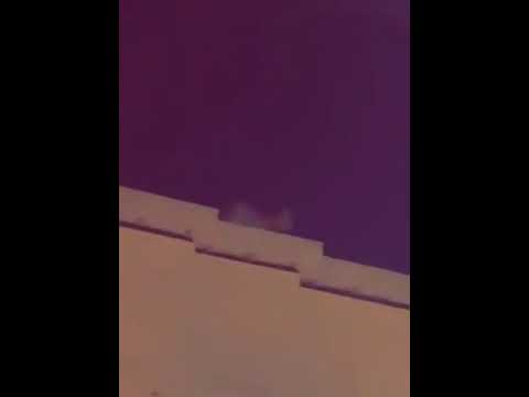 شاهد لبوة تتجول على سطح منزل بالرياض والجهات المختصة تتدخل