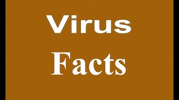 most important facts about the 